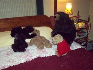 Johnny and Bears 001